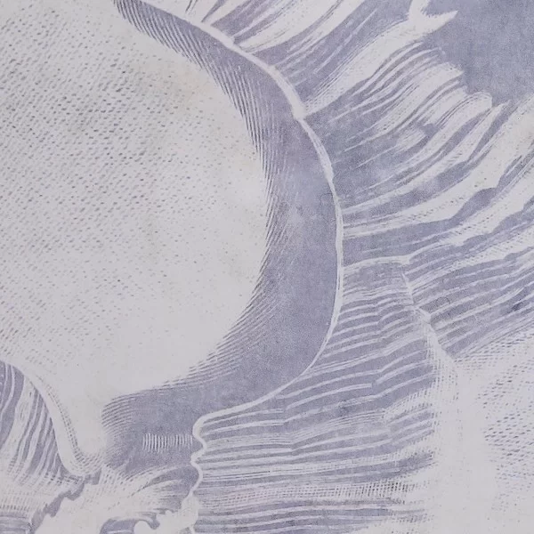 Painting DKD Home Decor Crystal Snail 50 x 2 x 60 cm 50 x 60 x 2,5 cm (4 Pieces)