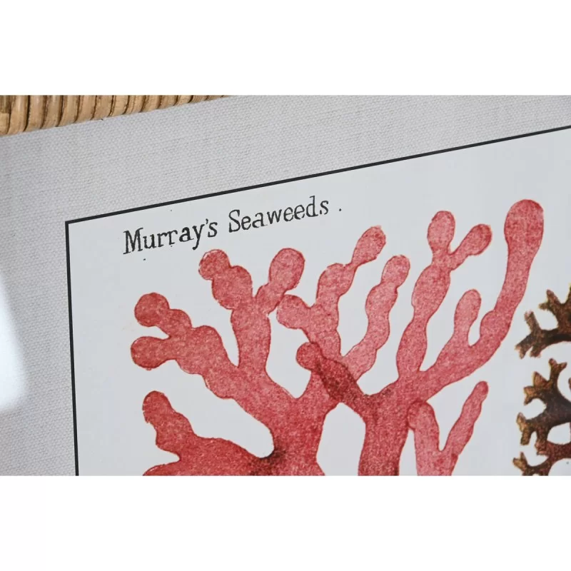 Painting DKD Home Decor 50 x 2.5 x 70 cm 50 x...