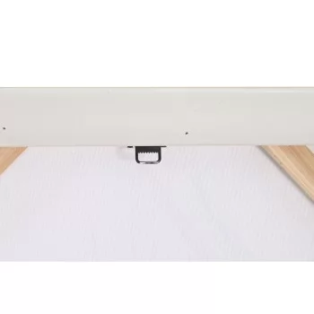 Painting DKD Home Decor 70 x 3,7 x 100 cm Tropical (2 Units) 2