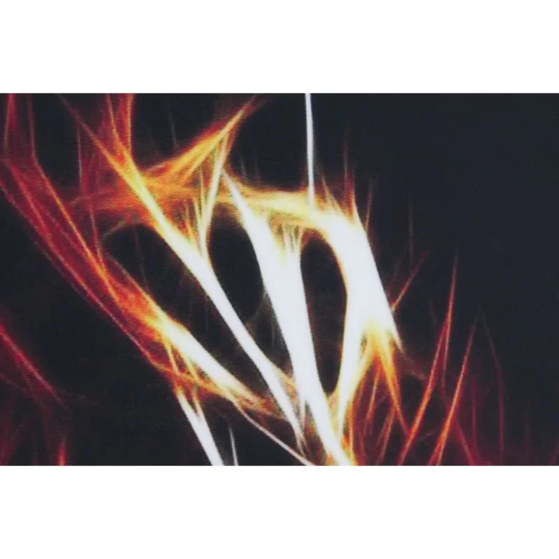 Painting DKD Home Decor Tiger 80 x 3 x 80 cm...