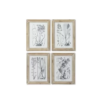 Painting DKD Home Decor Modern Botanical plants 30 x 2 x...