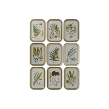 Painting DKD Home Decor Modern Botanical plants 30 x 2 x...