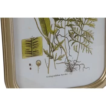Painting DKD Home Decor Modern Botanical plants 30 x 2 x... 2