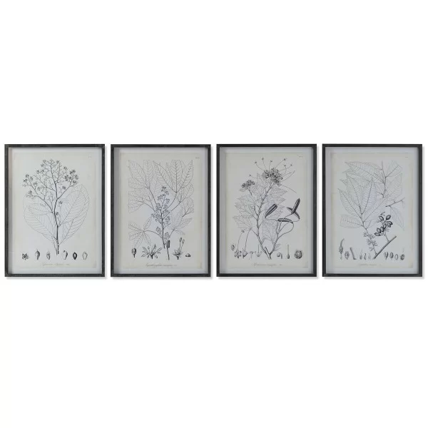 Painting DKD Home Decor Modern Botanical plants 45 x 2,5 x 60 cm (4 Units)