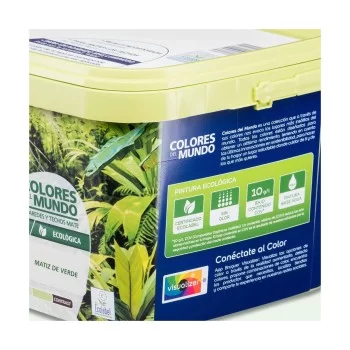 Paint Bruguer Amazonas 4 L 2