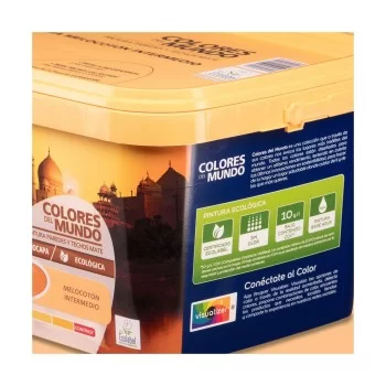 Paint Bruguer India 4 L 2