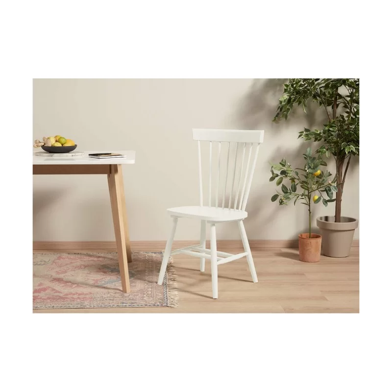 Acrylic polish Bruguer 5160685 250 ml Permanent...