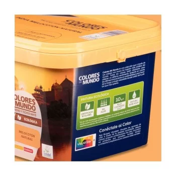 Paint Bruguer India 4 L 2