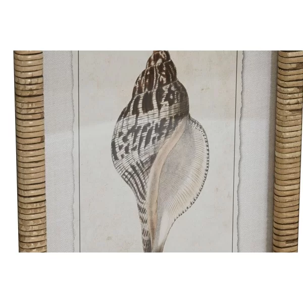 Painting Home ESPRIT Mediterranean Snail 30 x 2,5 x 40 cm (9Units)