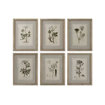 Painting Home ESPRIT Shabby Chic Botanical plants 30 x 2...