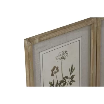 Painting Home ESPRIT Shabby Chic Botanical plants 30 x 2... 2