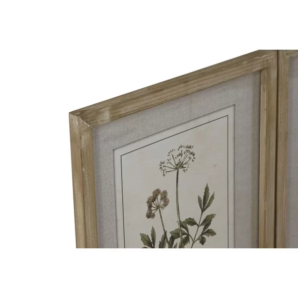 Painting Home ESPRIT Shabby Chic Botanical plants 30 x 2 x 40 cm (6 Units)