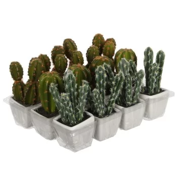 Decorative Plant Mica Decorations Artificial Cactus Green...
