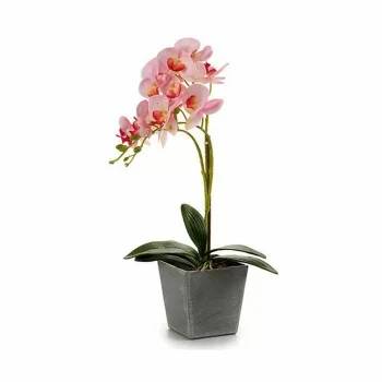 Decorative Plant Orchid Plastic 20 x 47 x 33 cm (4 Units) 2