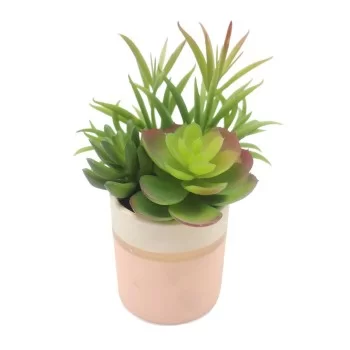 Decorative Plant Versa Ceramic Plastic 12,7 x 15,75 x...