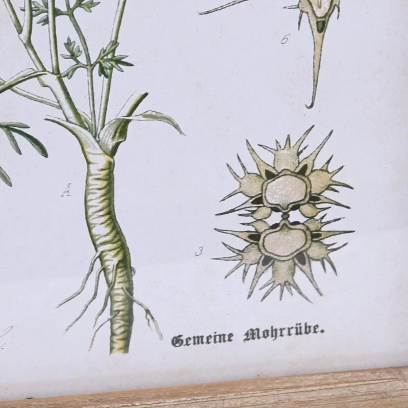 Painting DKD Home Decor Fir Crystal 40 x 2 x 60...