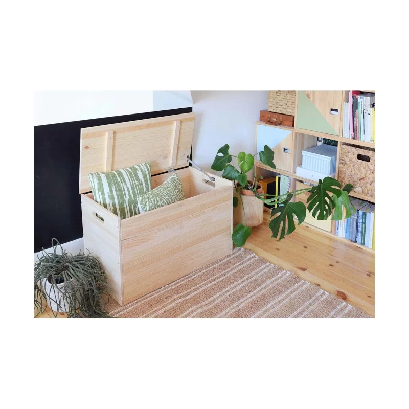 Chest Astigarraga Dinamic Pinewood (80 x 40 x...