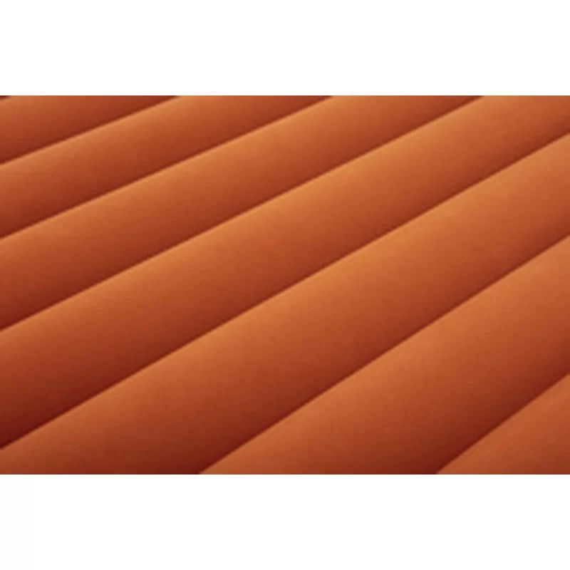 Inflatable Mattress Bestway Dog 158 x 66 cm