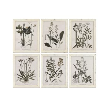 Painting Home ESPRIT Shabby Chic Botanical plants 40 x...