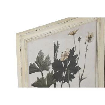 Painting Home ESPRIT Shabby Chic Botanical plants 40 x... 2