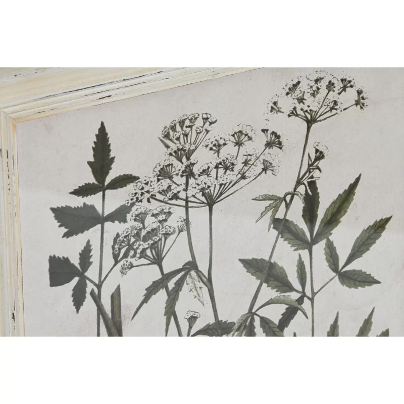 Painting Home ESPRIT Shabby Chic Botanical...