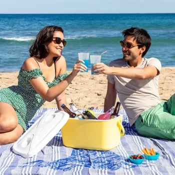 Portable Rigid Cooler Lilty InnovaGoods 15 L 2