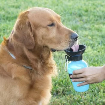 Dog Water Bottle-Dispenser InnovaGoods
