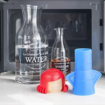Microwave Cleaner Fuming Mum InnovaGoods 2