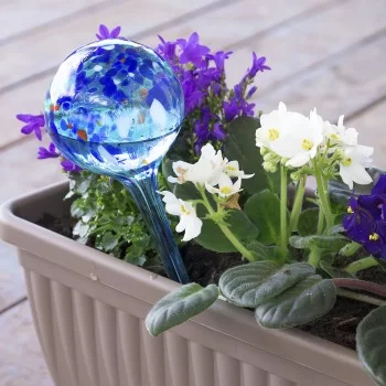 Automatic Watering Globes Aqua·Loon InnovaGoods 2 Units 2