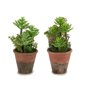 Decorative Plant Plastic 2