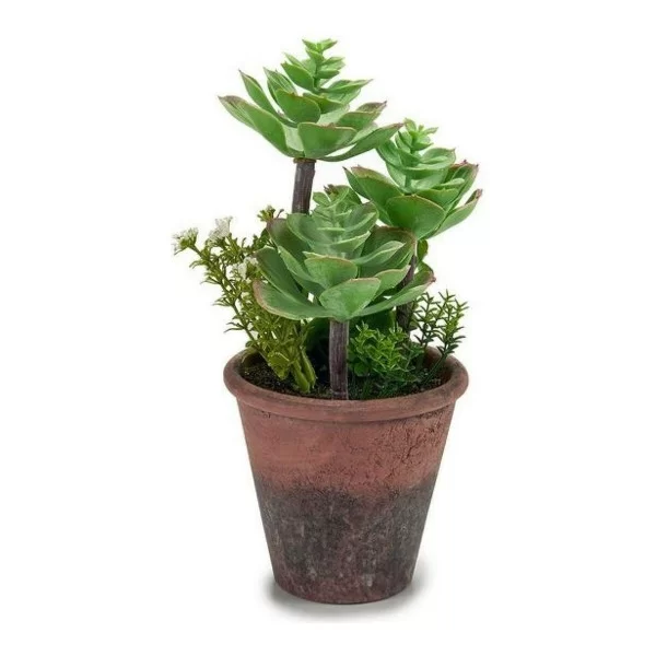 Decorative Plant Plastic