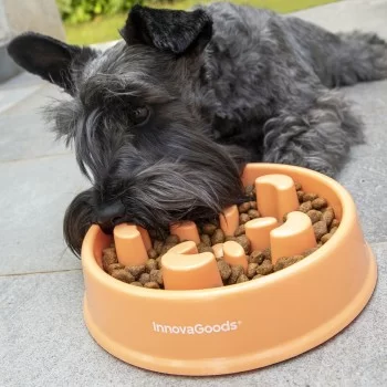 Slow Eating Food Bowl for Pets Slowfi InnovaGoods 2