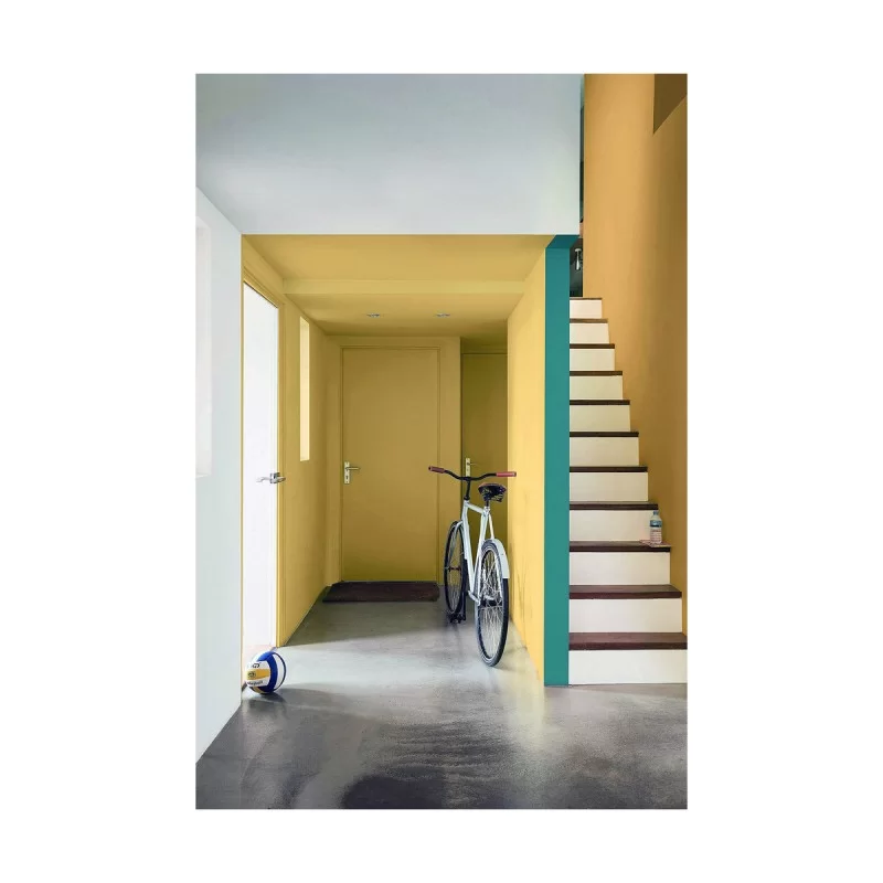 Painted Bruguer Colores Del Mundo 2,5 L