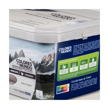 Paint Bruguer Patagonia 4 L 2