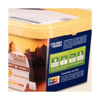 Paint Bruguer India 4 L 2