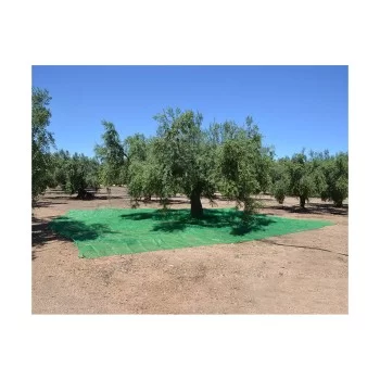 Protective Tarpaulin Green polypropylene (5 x 8 m) 2