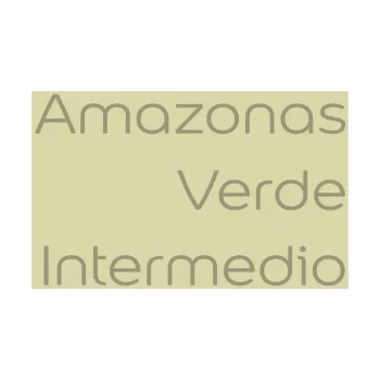 Paint Bruguer 5057227 Amazonas Light Green 4 L 2