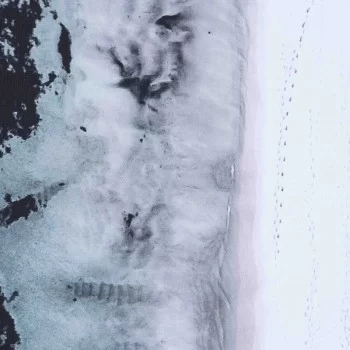 Canvas 63 x 93 cm Vase Flowers 2