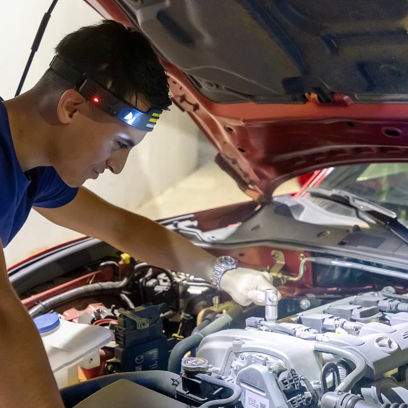 Rechargeable and Adjustable LED Head Torch...