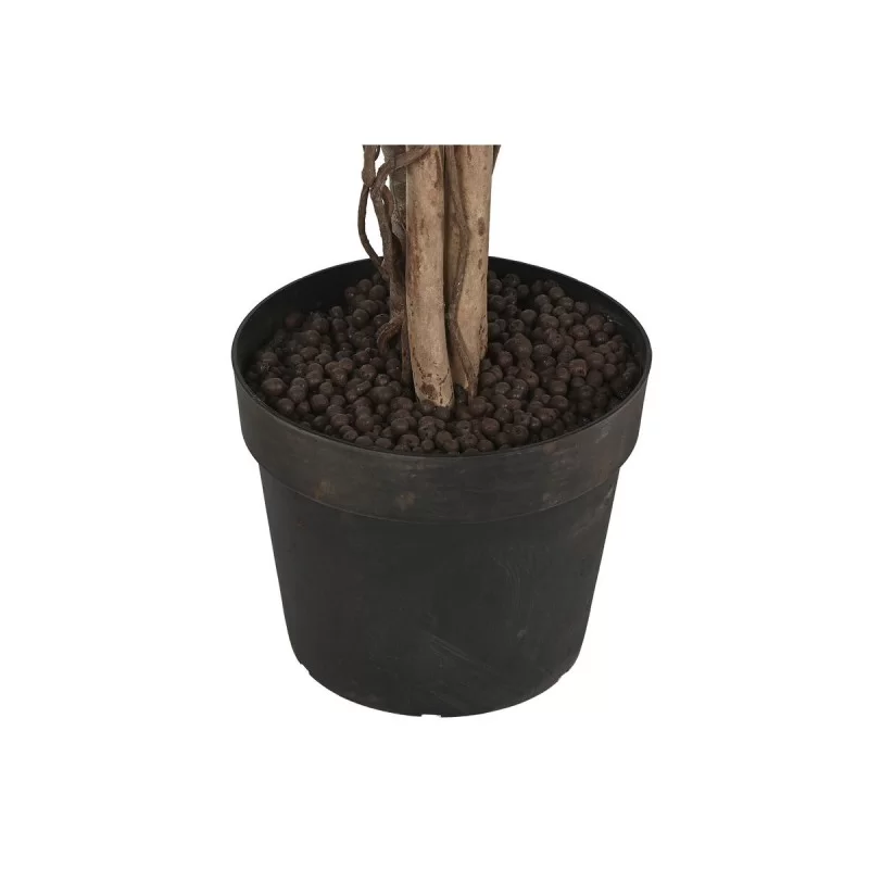 Tree Home ESPRIT Polyethylene Fig Tree 100 x...