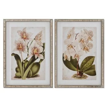 Painting Home ESPRIT Tropical Orchid 50 x 2,5 x 70 cm (2...