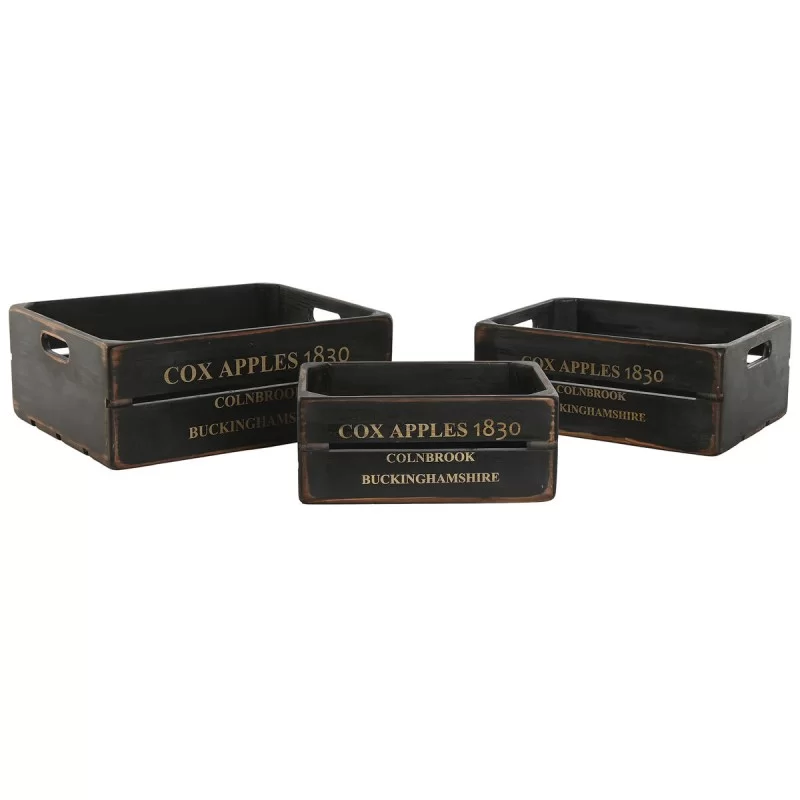 Storage boxes Home ESPRIT Cox Apples 1830 Black...