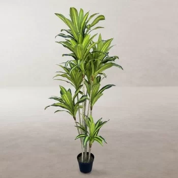 Decorative Plant Polyurethane Cement 180 cm 2