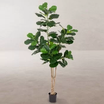 Decorative Plant Polyurethane Cement Fig Tree 175 cm 2