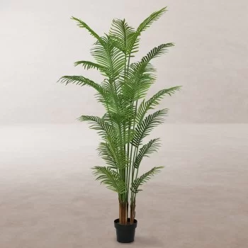 Decorative Plant Polyurethane Cement Areca 210 cm 2