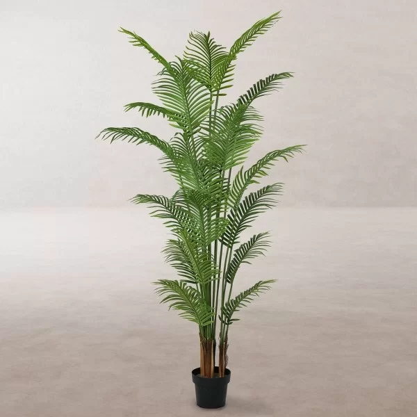 Decorative Plant Polyurethane Cement Areca 210 cm