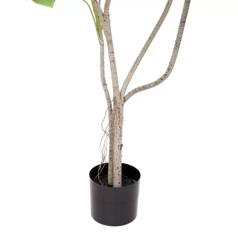 Decorative Plant Polyurethane Cement Monstera...
