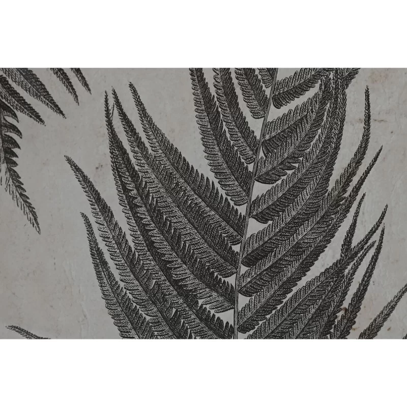 Painting Home ESPRIT Fern Cottage 50 x 2,5 x 70...