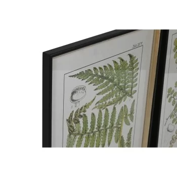Painting Home ESPRIT Modern Fern 50 x 2,5 x 65 cm (6 Units) 2
