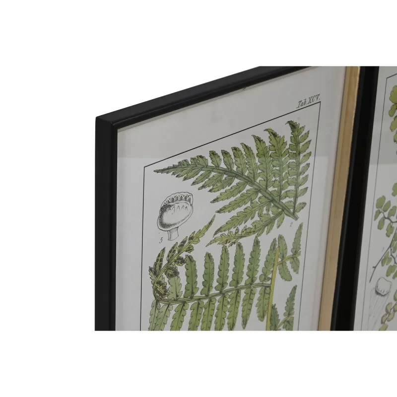 Painting Home ESPRIT Modern Fern 50 x 2,5 x 65...